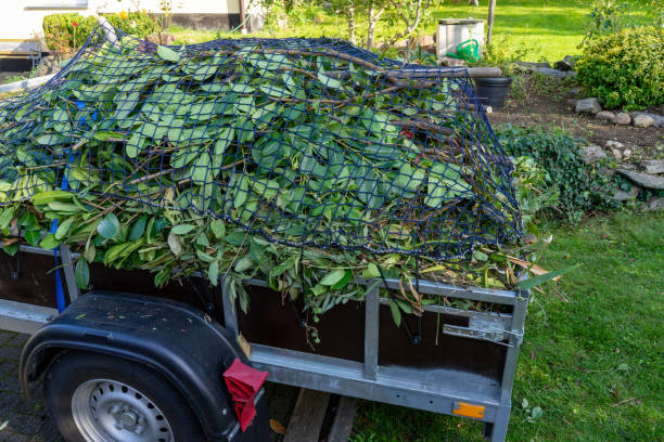 Best Yard Waste Removal  in Blue Ridge, TX